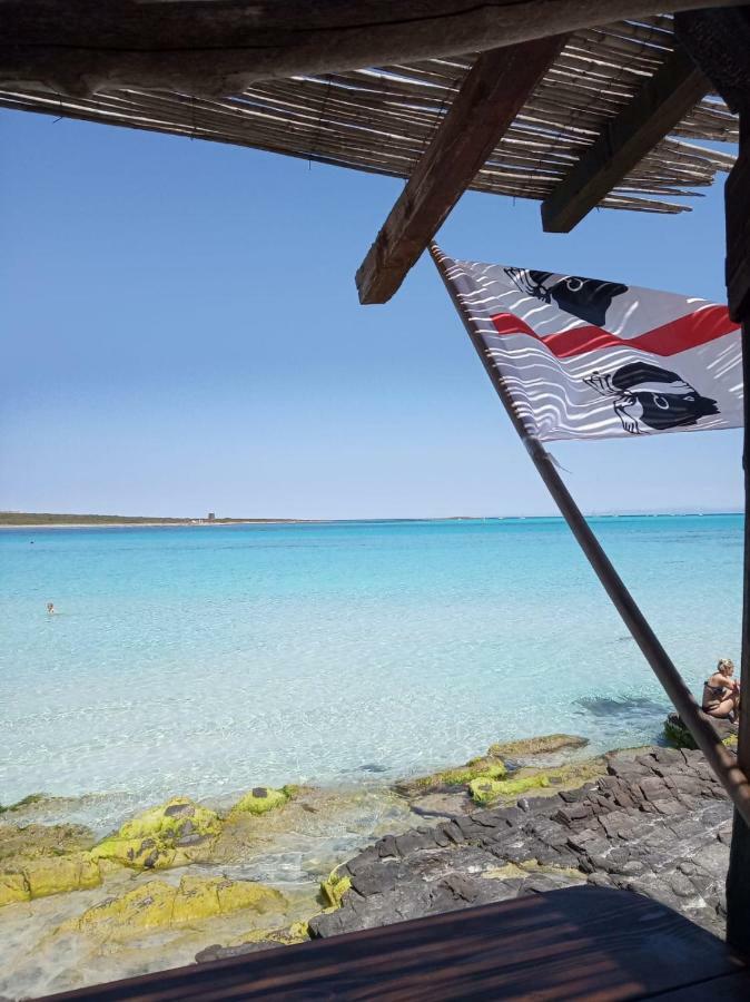 Stefano Casa Vacanze Viddalba Kültér fotó