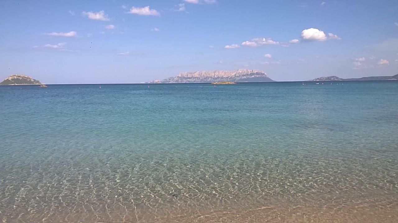 Stefano Casa Vacanze Viddalba Kültér fotó